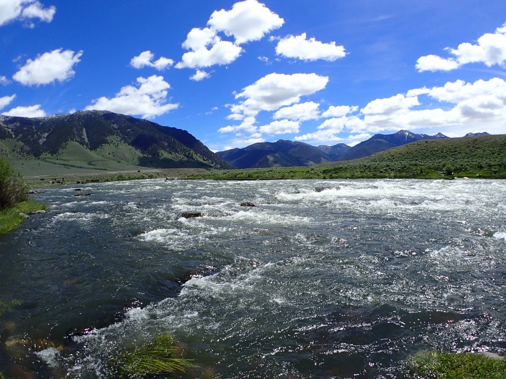 Southwest Montana Fly Fishing. Outfitter, Guide Services, Fly Fishing, Bozeman, Montana