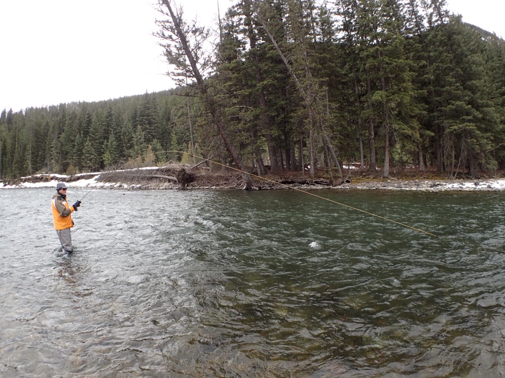 Southwest Montana Fly Fishing. Outfitter, Guide Services, Fly Fishing, Bozeman, Montana