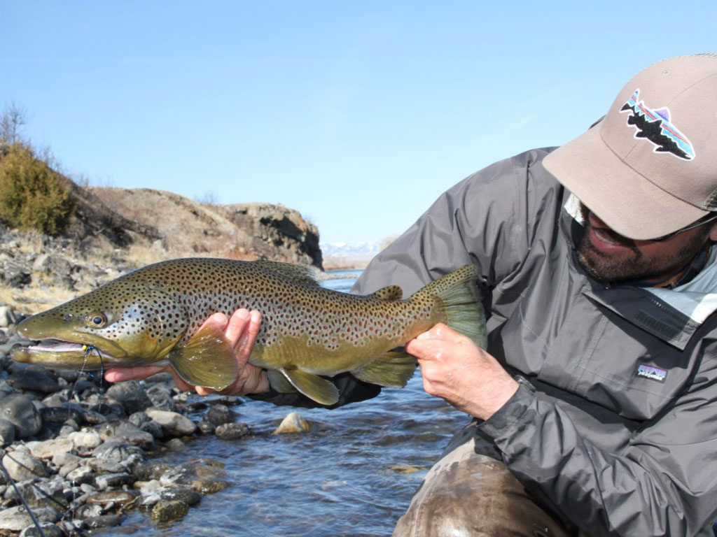 Southwest Montana Fly Fishing. Outfitter, Guide Services, Fly Fishing, Bozeman, Montana