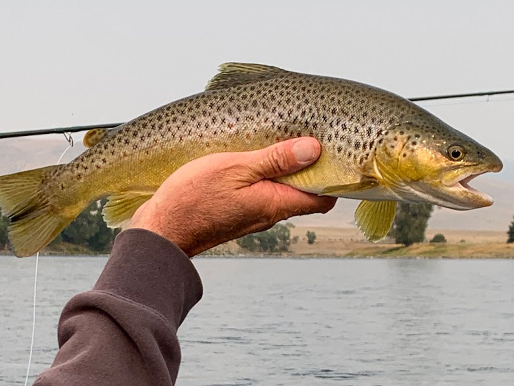 Southwest Montana Fly Fishing. Outfitter, Guide Services, Fly Fishing, Bozeman, Montana