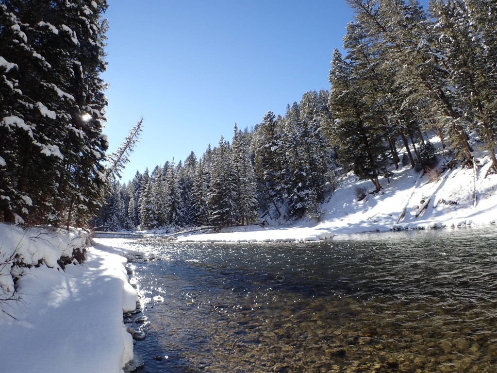 Southwest Montana Fly Fishing. Outfitter, Guide Services, Fly Fishing, Bozeman, Montana