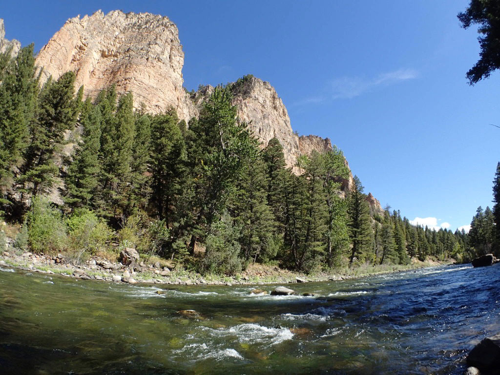 Southwest Montana Fly Fishing. Outfitter, Guide Services, Fly Fishing, Bozeman, Montana